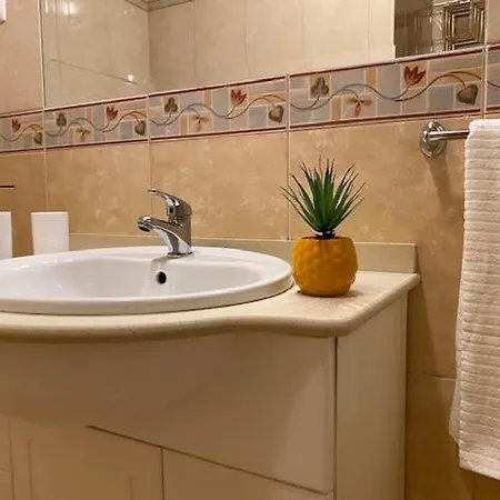 Wonderful Apartment